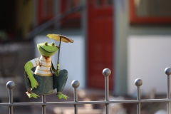 Frosch