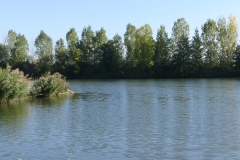 P1040738